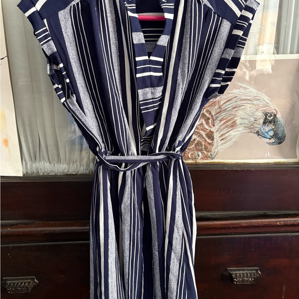 Monteau Navy and White Striped Dress